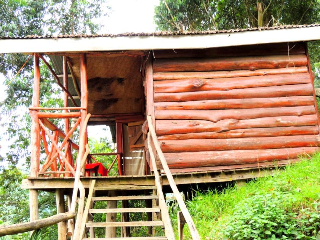 Mutanda Eco Community Center Hotel Kisoro Ngoại thất bức ảnh