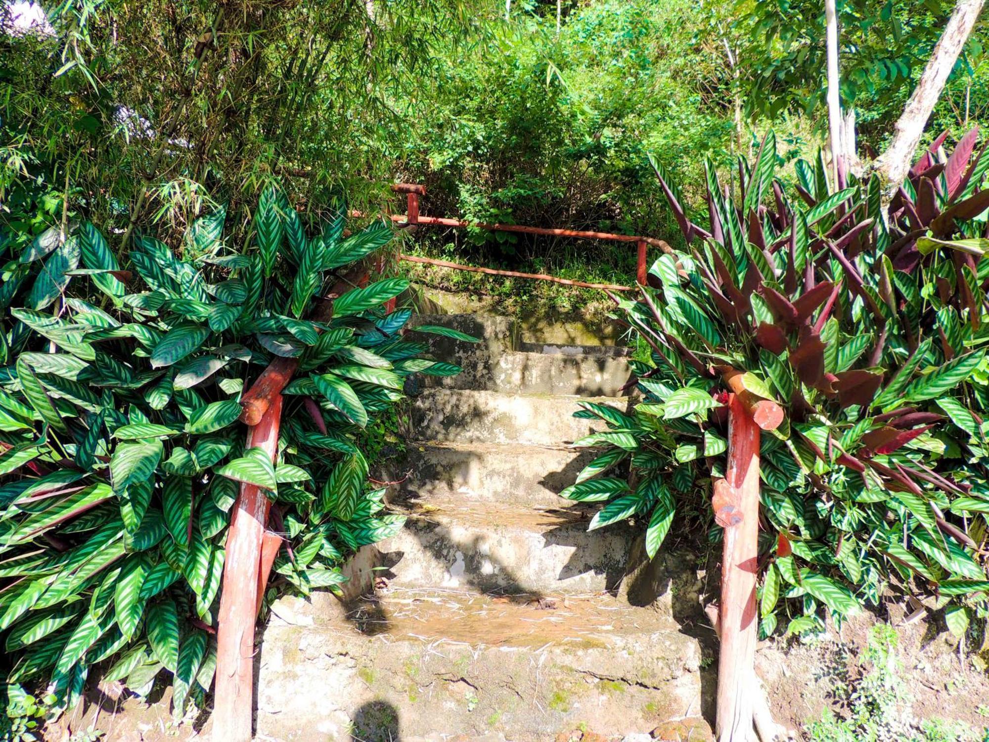 Mutanda Eco Community Center Hotel Kisoro Ngoại thất bức ảnh