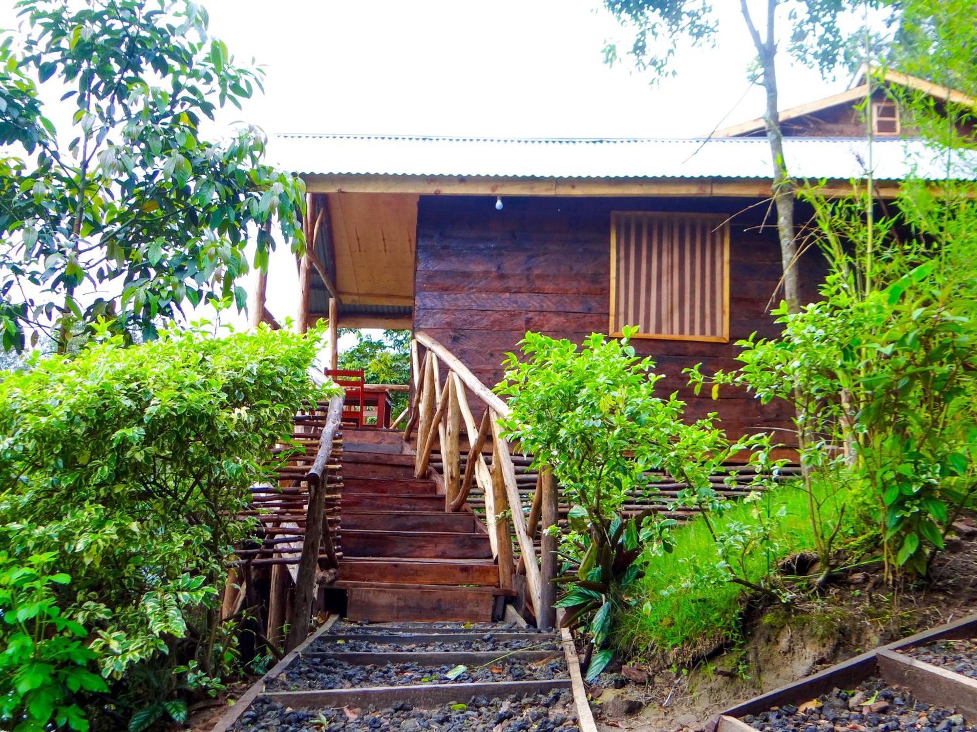 Mutanda Eco Community Center Hotel Kisoro Ngoại thất bức ảnh